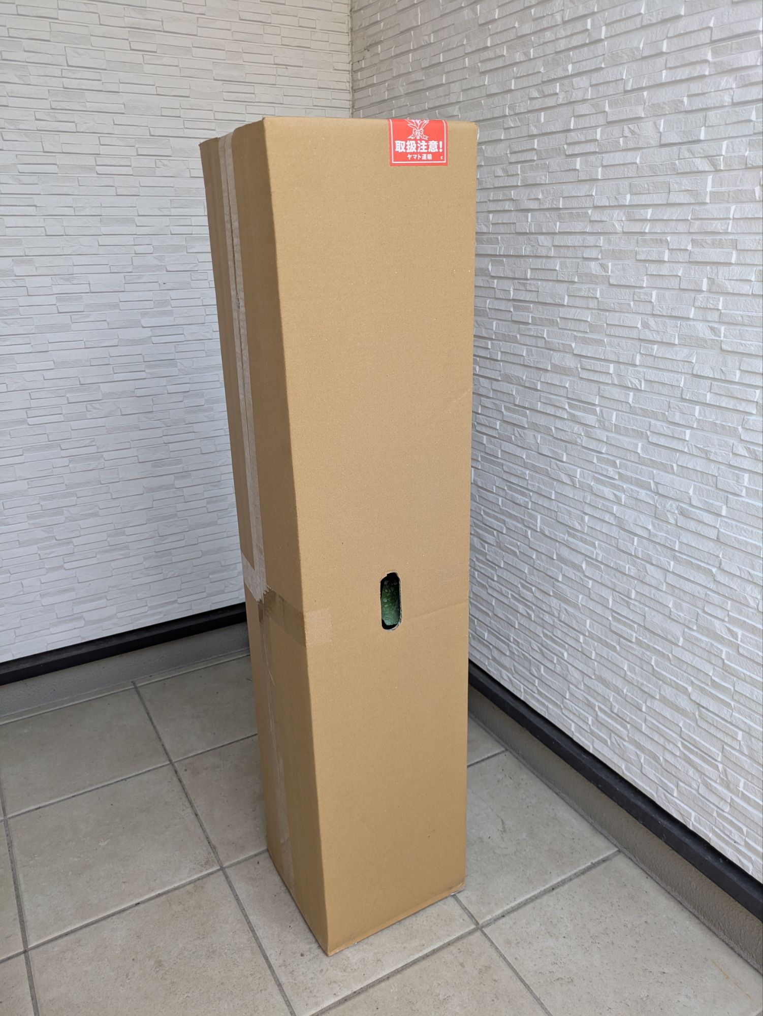 楽天で届いたリスボンレモン苗木の段ボール